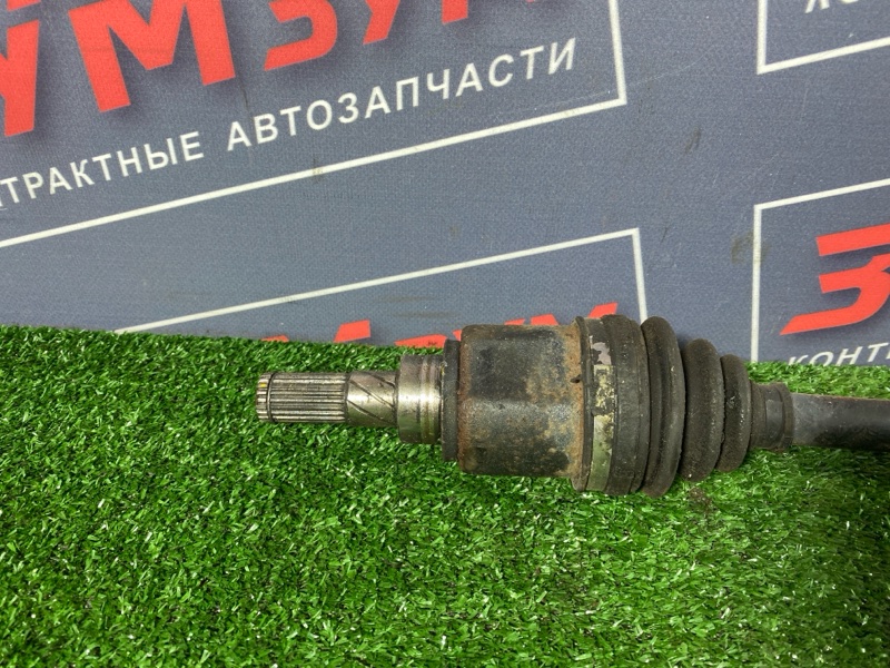 Привод, 1500 рублей, Солонцы