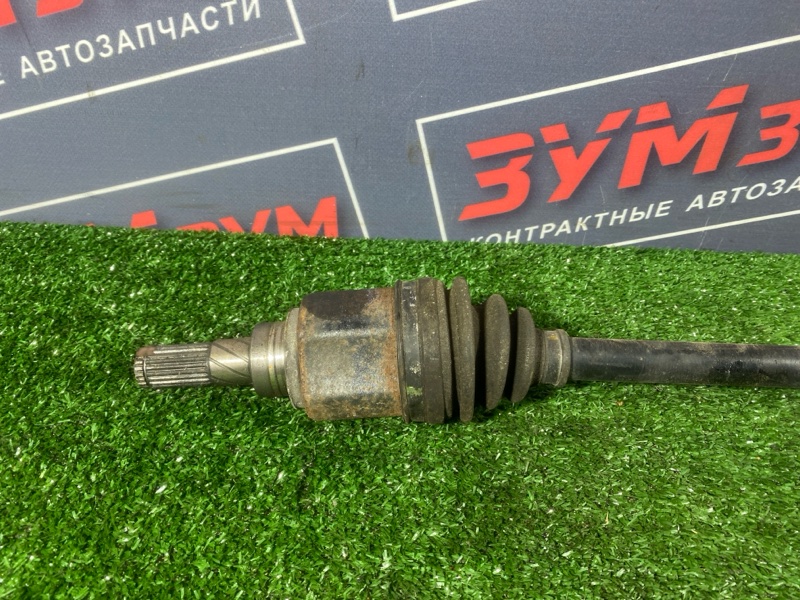 Привод, 1500 рублей, Солонцы