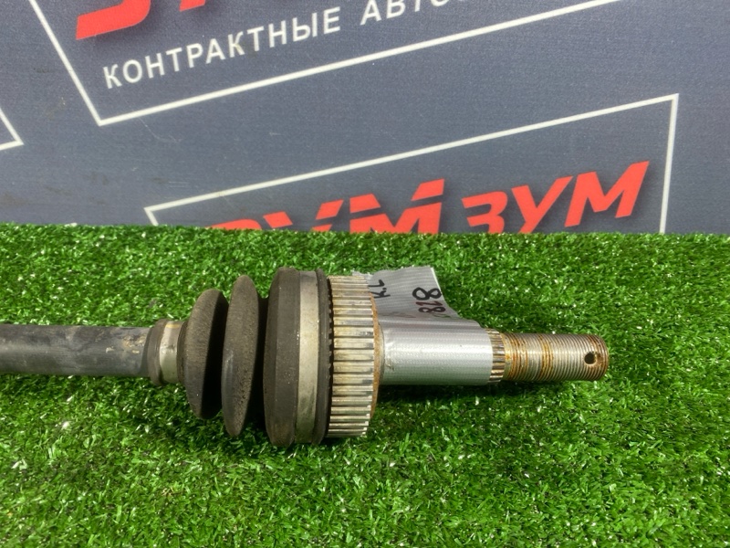 Привод, 1500 рублей, Солонцы