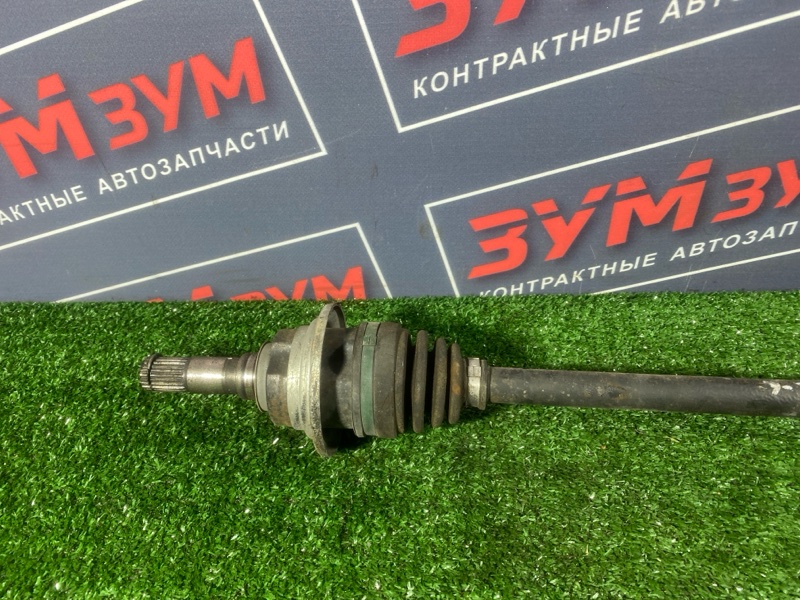 Привод, 3500 рублей, Солонцы