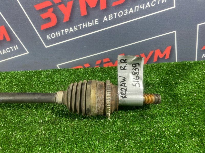 Привод, 3500 рублей, Солонцы