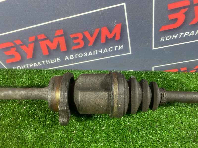 Привод, 8000 рублей, Солонцы