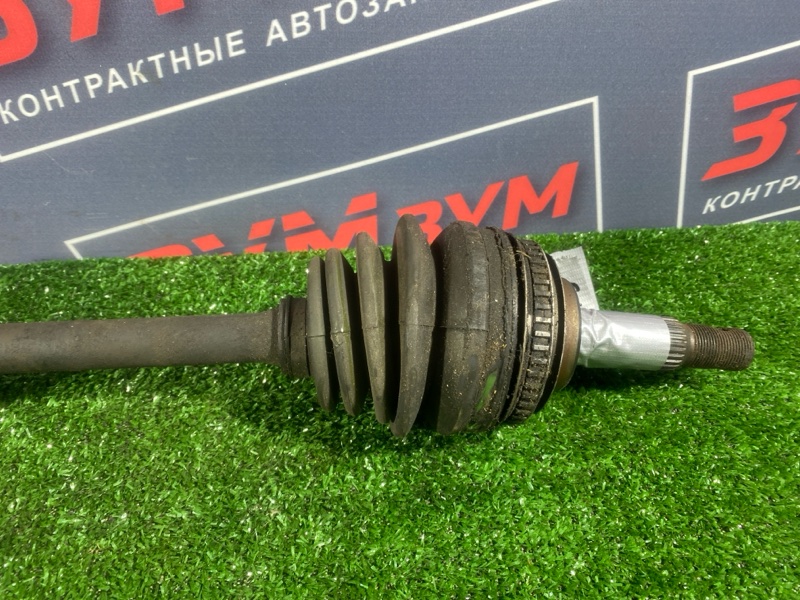 Привод, 8000 рублей, Солонцы