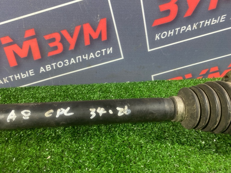 Привод, 2500 рублей, Солонцы