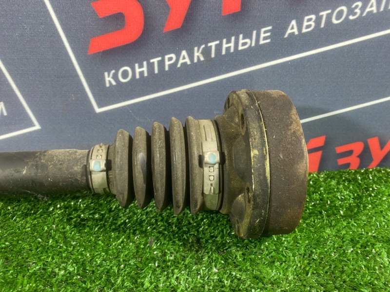 Привод, 2500 рублей, Солонцы