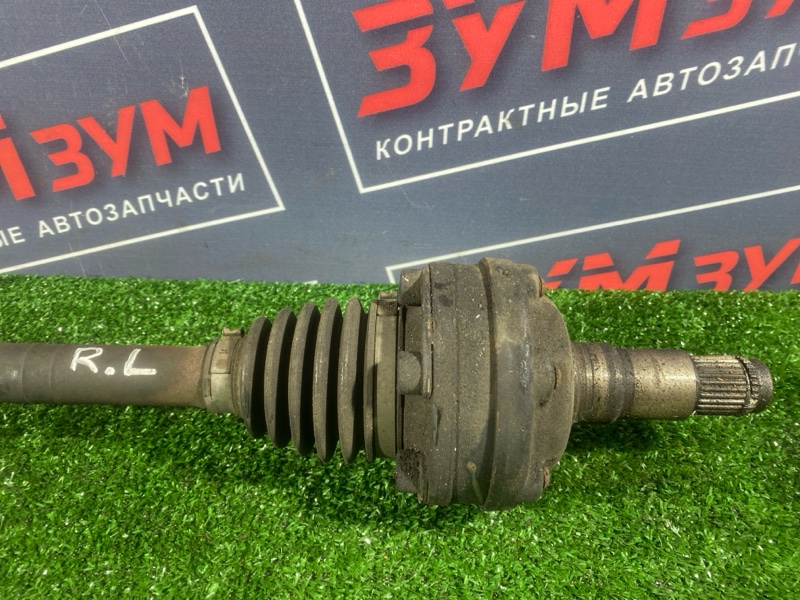 Привод, 3000 рублей, Солонцы