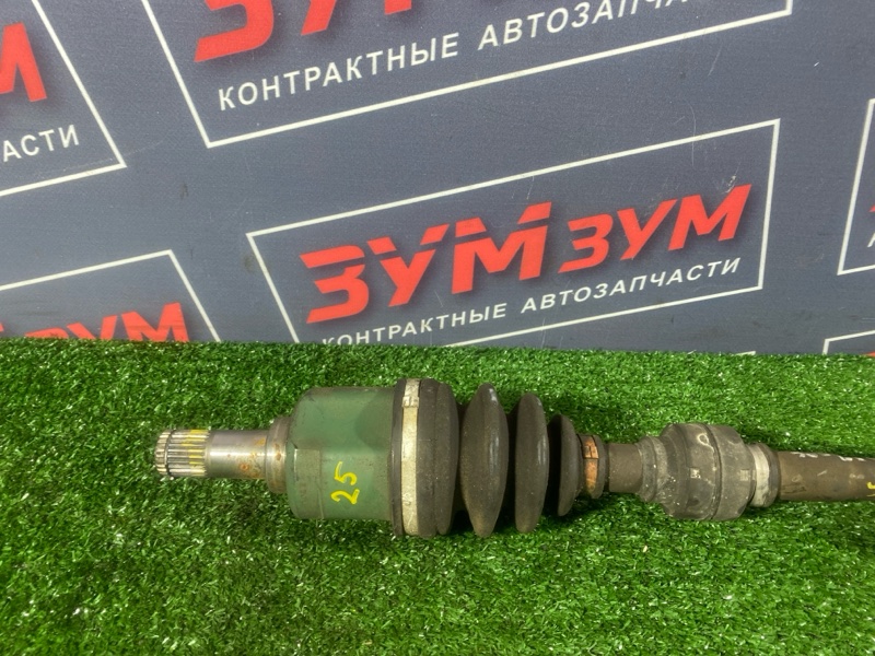 Привод, 2500 рублей, Солонцы