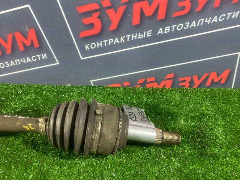Привод, 2500 рублей, Солонцы