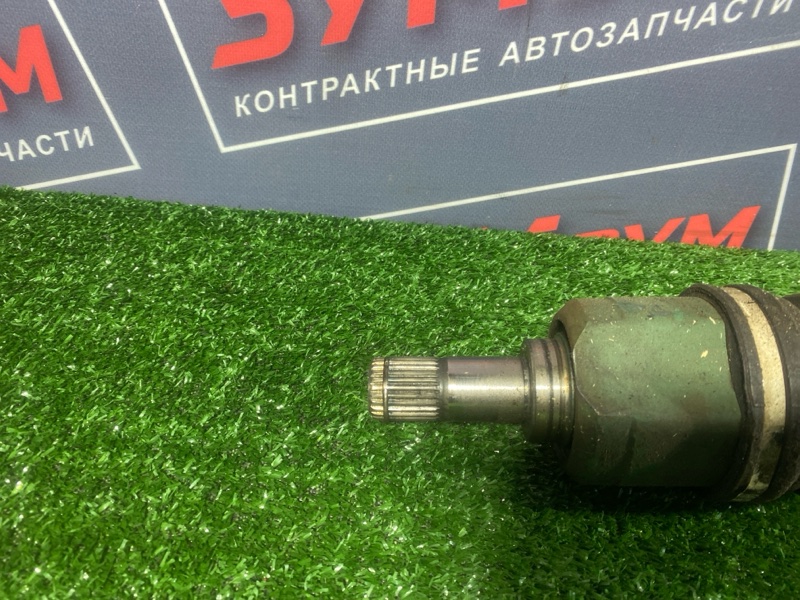 Привод, 2800 рублей, Солонцы