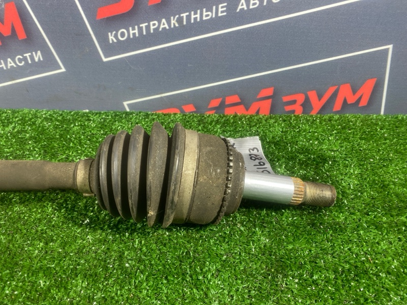 Привод, 2800 рублей, Солонцы