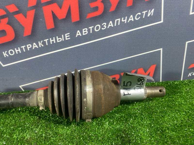 Привод, 9500 рублей, Солонцы