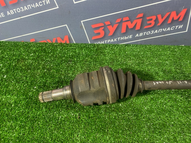 Привод, 6000 рублей, Солонцы