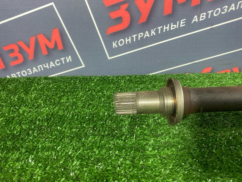 Привод, 12000 рублей, Солонцы