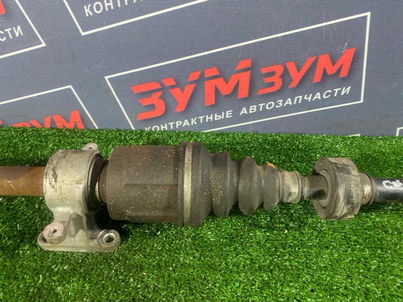 Привод, 12000 рублей, Солонцы