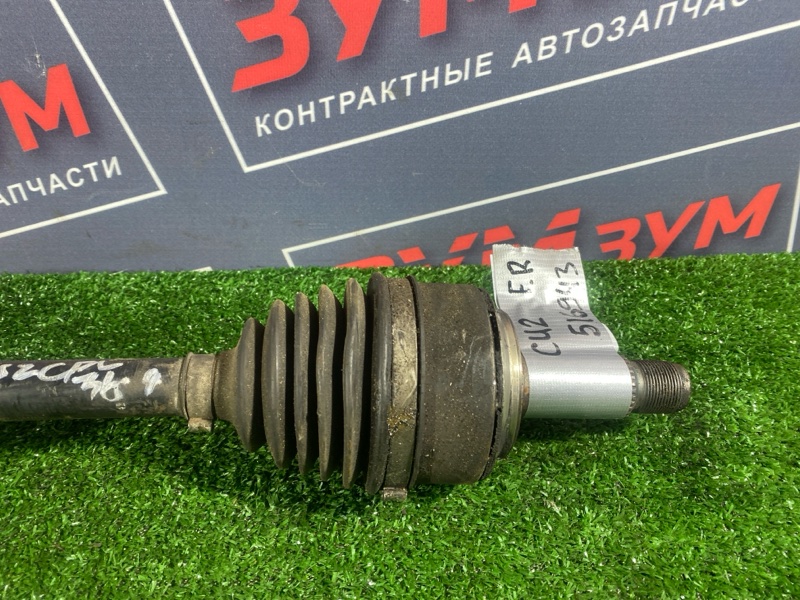 Привод, 12000 рублей, Солонцы