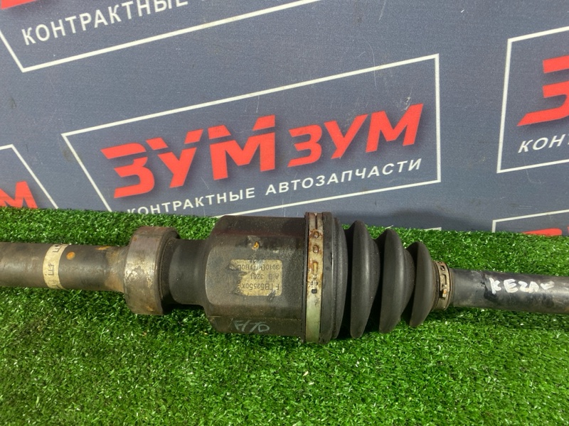 Привод, 7000 рублей, Солонцы