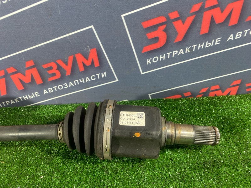 Привод, 3000 рублей, Солонцы