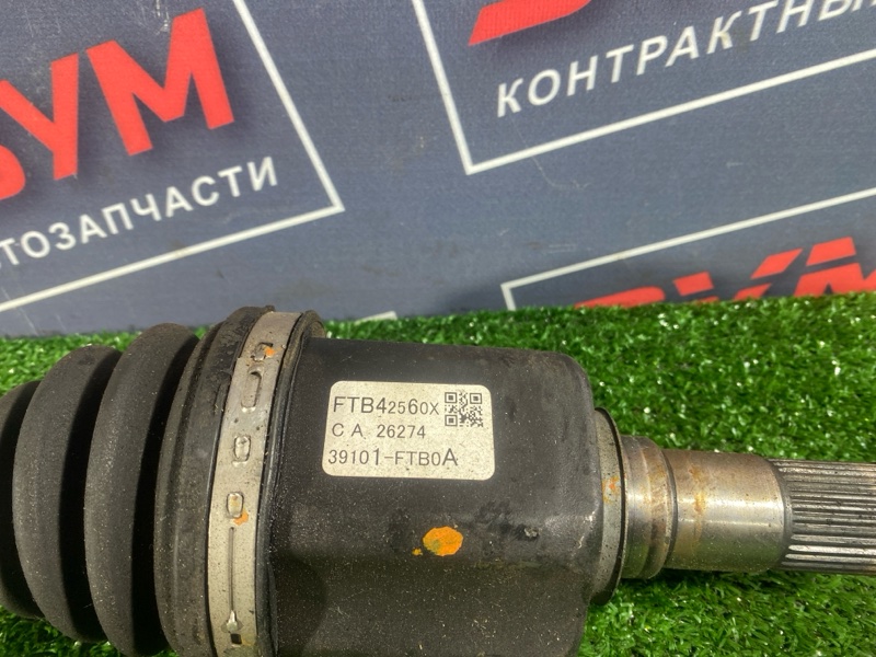 Привод, 3000 рублей, Солонцы