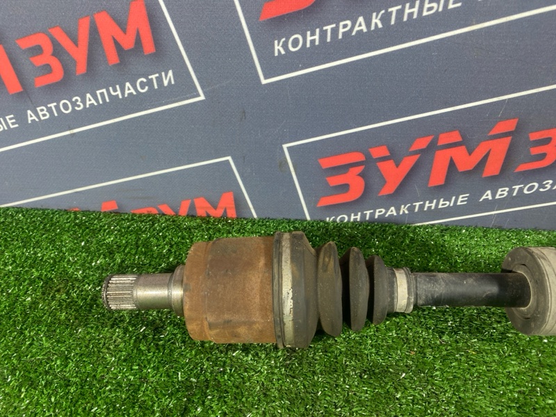 Привод, 6500 рублей, Солонцы