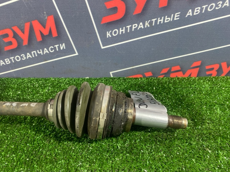 Привод, 6000 рублей, Солонцы