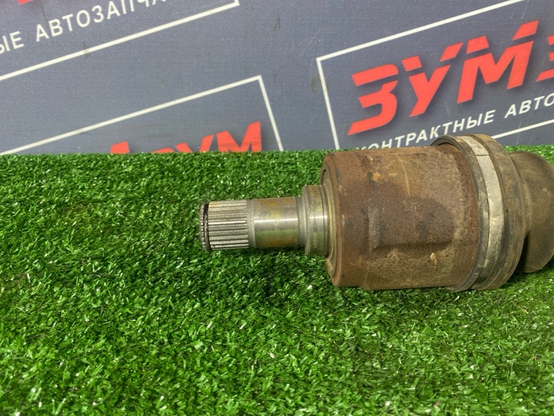 Привод, 6500 рублей, Солонцы