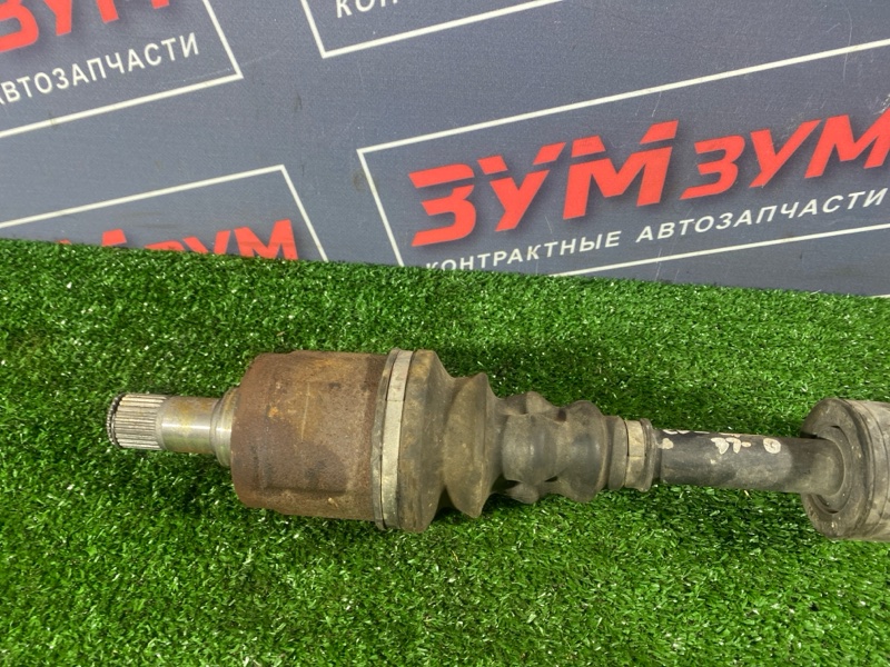 Привод, 6500 рублей, Солонцы