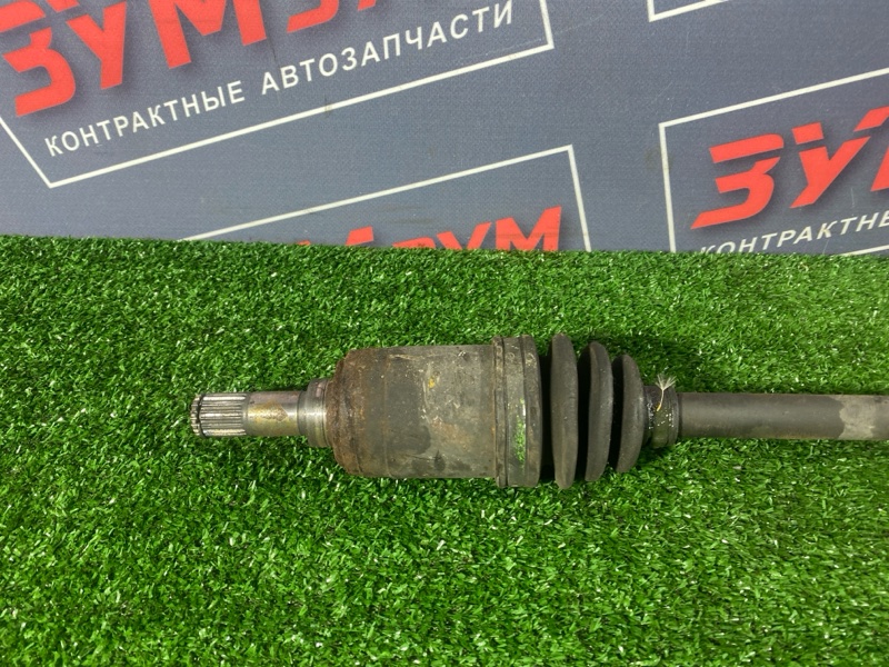 Привод, 1000 рублей, Солонцы