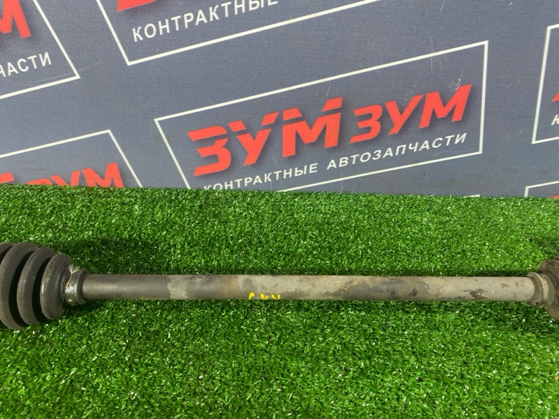 Привод, 1000 рублей, Солонцы