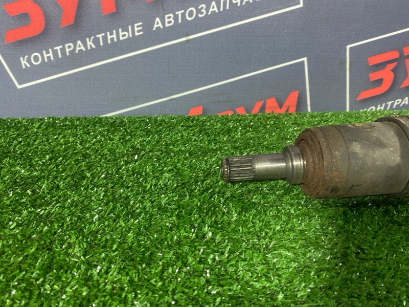 Привод, 1000 рублей, Солонцы