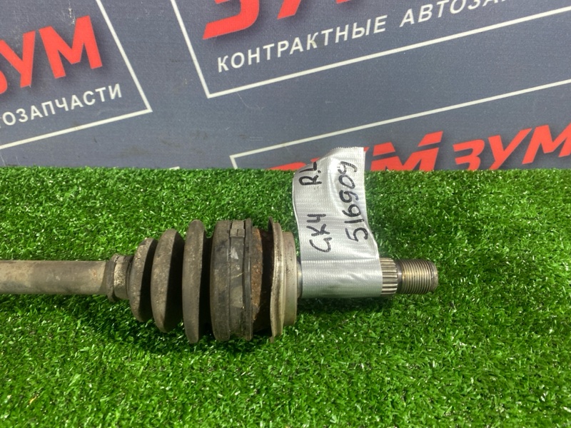 Привод, 1000 рублей, Солонцы