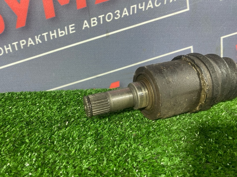 Привод, 5000 рублей, Солонцы