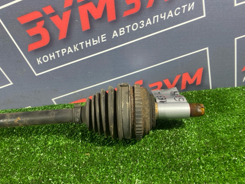 Привод, 5000 рублей, Солонцы