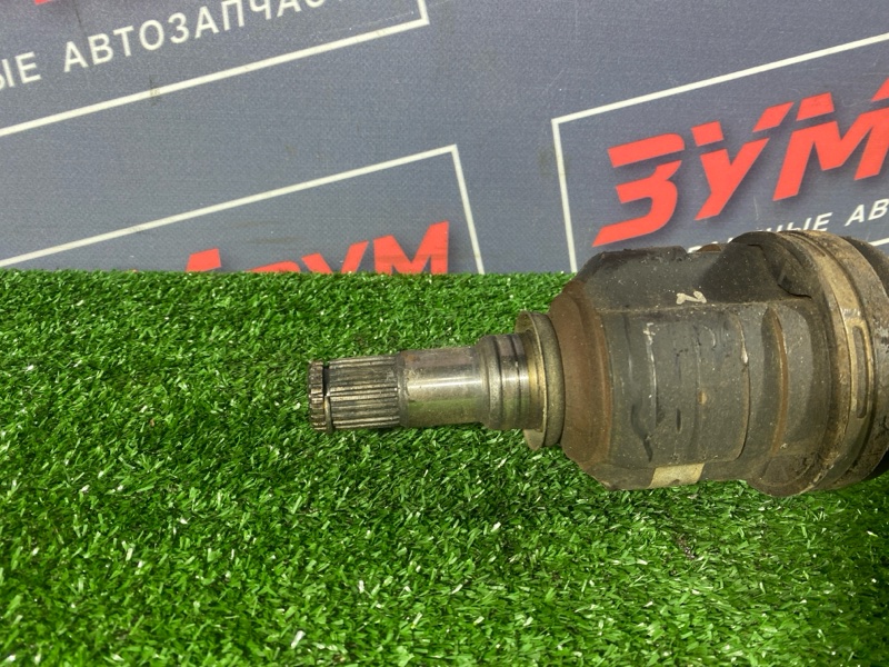Привод, 2500 рублей, Солонцы