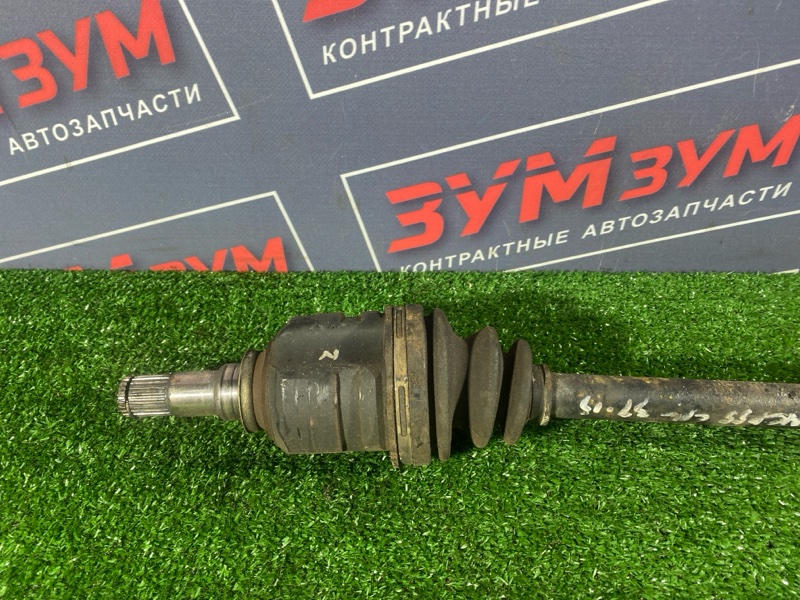 Привод, 2500 рублей, Солонцы