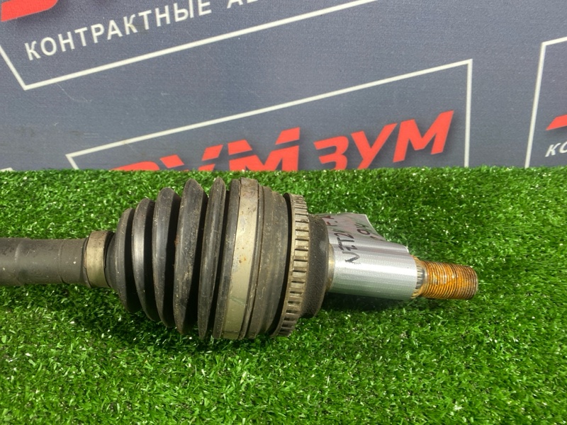 Привод, 10000 рублей, Солонцы