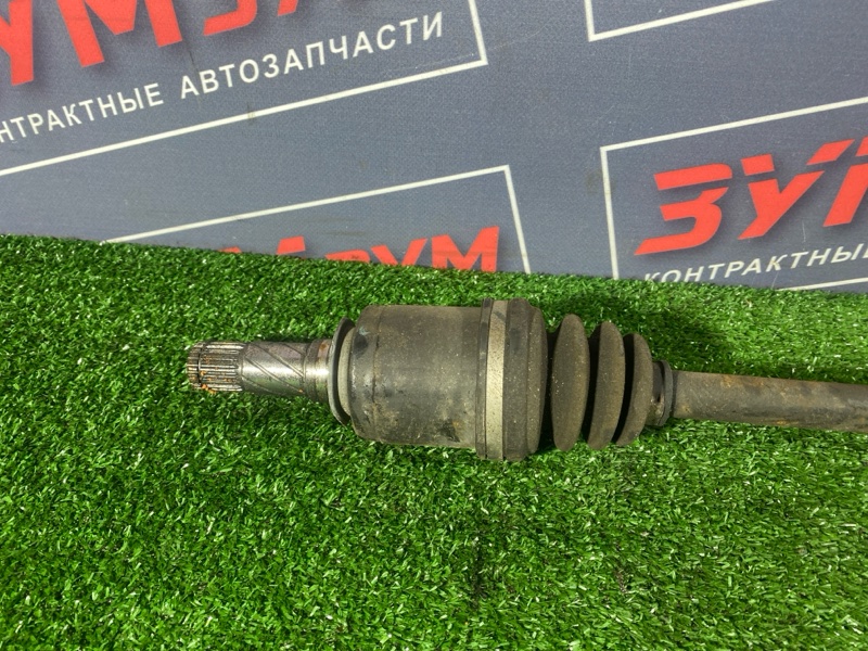 Привод, 600 рублей, Солонцы