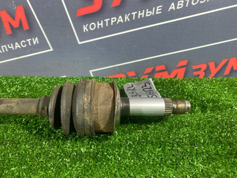 Привод, 600 рублей, Солонцы