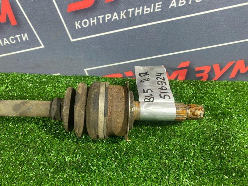 Привод, 600 рублей, Солонцы