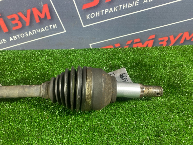 Привод, 2500 рублей, Солонцы