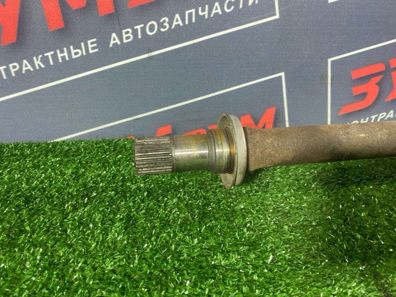 Привод, 12000 рублей, Солонцы
