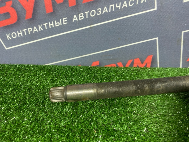 Привод, 6000 рублей, Солонцы