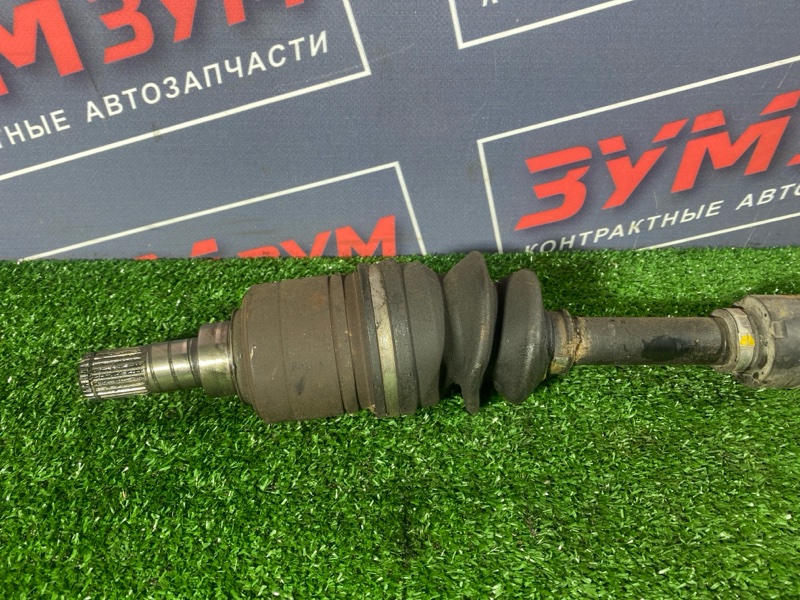 Привод, 1500 рублей, Солонцы