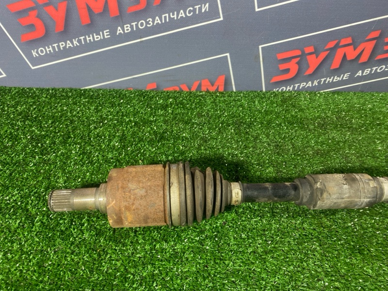 Привод, 5000 рублей, Солонцы