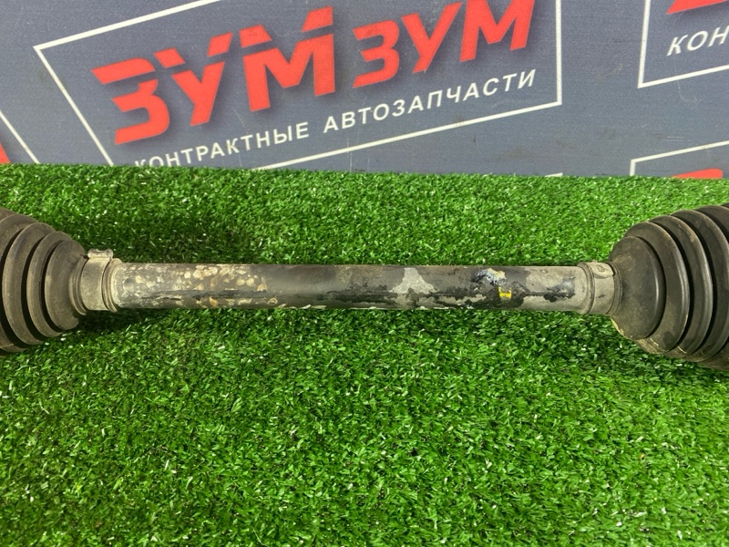 Привод, 6000 рублей, Солонцы
