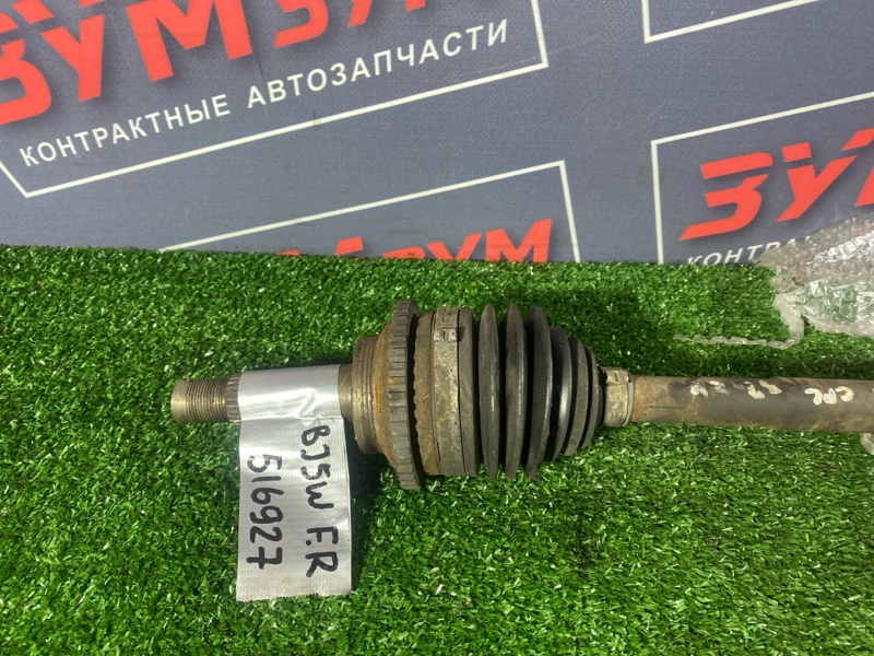 Привод, 13000 рублей, Солонцы