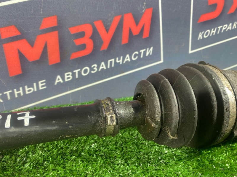 Привод, 3000 рублей, Солонцы