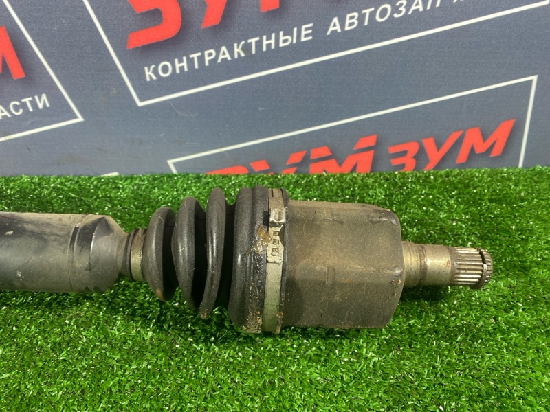 Привод, 5500 рублей, Солонцы