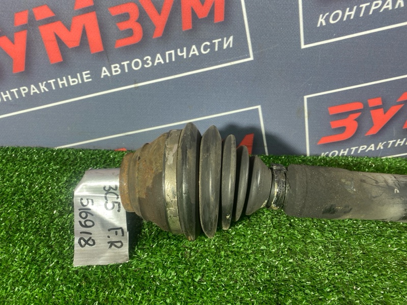 Привод, 5500 рублей, Солонцы