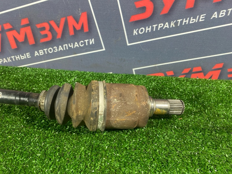 Привод, 4000 рублей, Солонцы