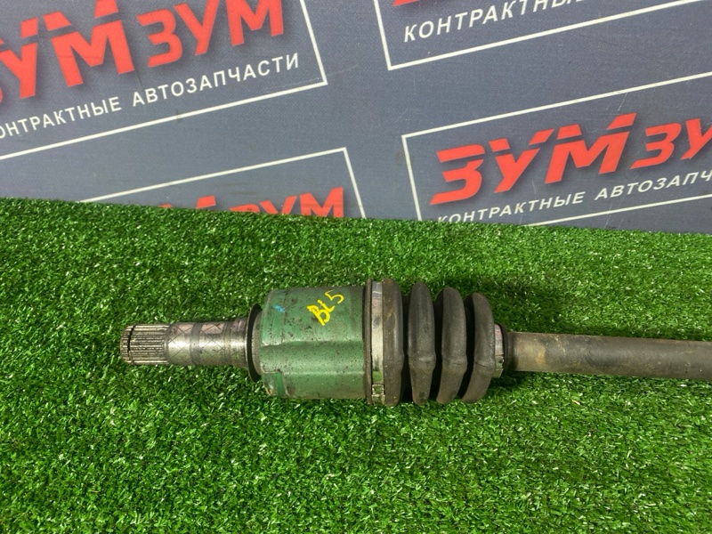 Привод, 3000 рублей, Солонцы